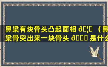 鼻梁有块骨头凸起面相 🦆 （鼻梁骨突出来一块骨头 🐛 是什么寓意）